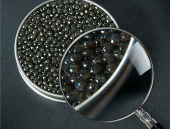 L'art de la dégustation du caviar