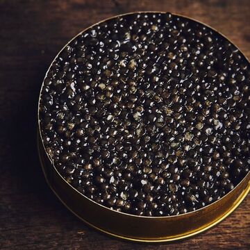 Zoom Caviar 🔍

Le caviar transmontanus surprend par la grosseur de ses grains, appréciés pour leur côté gras et fondant. Ce caviar d’esturgeon blanc développe des saveurs très beurrées aux notes de sous bois. ✨💙

👉 Retrouvez-le sur notre site internet www.kaviari.fr , dans nos Delikatessens et à la Manufacture Kaviari. 💫

-————————

Transmontanus caviar is surprisingly large, appreciated for its fatty, melting texture. This white sturgeon caviar develops very buttery flavors with notes of undergrowth. ✨💙

👉 Find it on our website www.kaviari.fr, in our Delikatessens and at La Manufacture Kaviari. 💫

📸 @guillaumeczerw
@kaviaridelikatessens

#kaviari #kaviariparis #kaviaridelikatessen  #caviar #caviarlover #gastronomie #caviartransmontanus #caviarbump