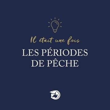 CULTURE CAVIAR… 🔍

Le saviez-vous ? La pêche à l’esturgeon suit le rythme des saisons. C’est au printemps, de février à mai, que la capture est la plus riche en quantité et en qualité, offrant 90% de Sevruga et 50% d’Asetra et de Beluga. En automne, la saison reprend avec des prises plus modestes mais tout aussi précieuses. 🌊✨

——————

Sturgeon fishing follows the rhythm of the seasons. Spring, from February to May, brings the most abundant and finest catches, providing 90% of Sevruga and 50% of Asetra and Beluga. In autumn, the season continues with fewer but equally precious catches. 🌊✨

#Caviar #Maisoncaviar #Gastronomie #Histoire